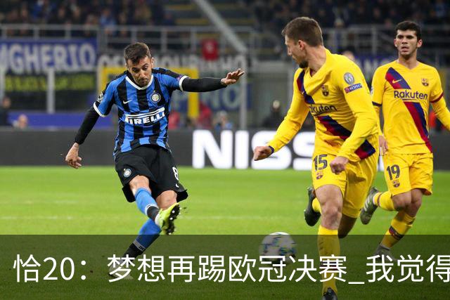 恰20：梦想再踢欧冠决赛 我觉得退役后我能当土耳其足协主席