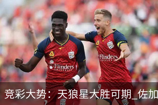 竞彩大势：天狼星大胜可期 佐加顿斯客场凯旋