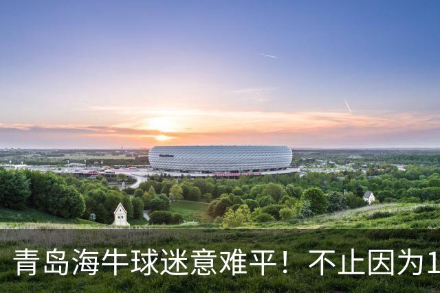 青岛海牛球迷意难平！不止因为1-5河南队，更多在于以下五点！